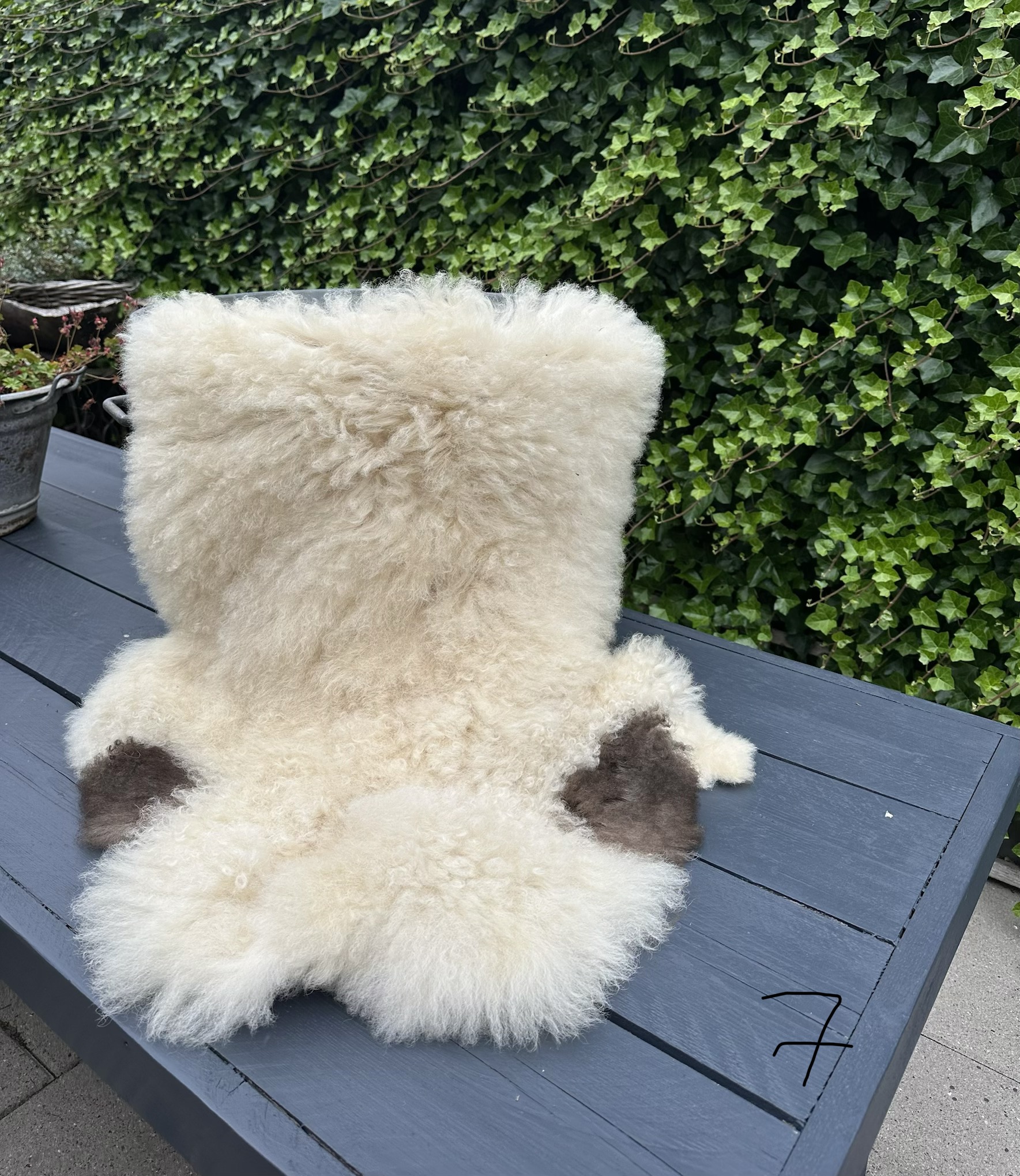 Schapenvacht maat L (110x67)
